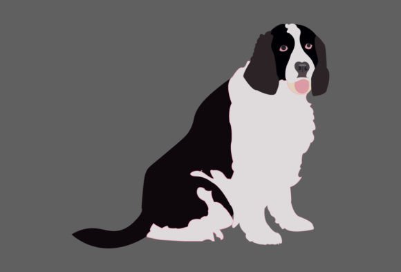 Dog Illustrator Review