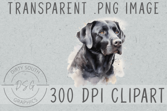 Watercolor Black Labrador Clip Art Review
